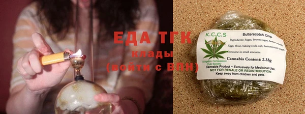 индика Дмитровск
