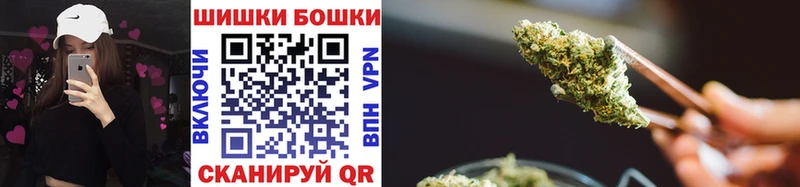 Канабис OG Kush  Зеленогорск 